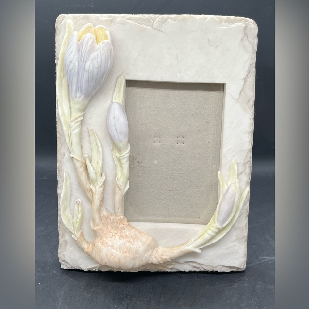 FRAME OLOGY LIFE MOMENTS ART PICTURE PHOTO FRAME FLOWER Spring Crocus 1997
